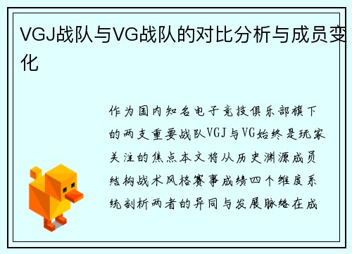 VGJ战队与VG战队的对比分析与成员变化